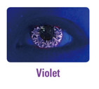 UV Diamond Violet Contact Lenses (PAIR)