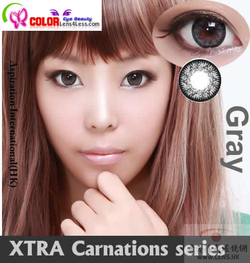 CIB Xtra Carnations Grey Color (PAIR)