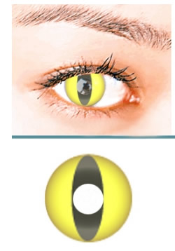 Yellow Cat Crazy Contact Lens (pair)